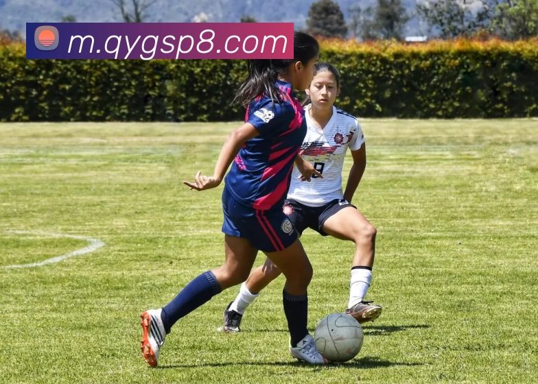 奇异果体育平台生态图