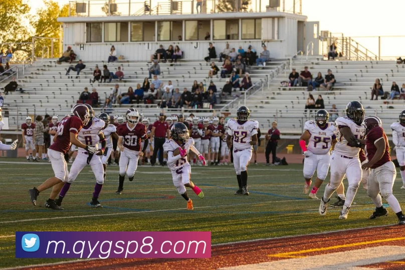 奇异果体育APP 封面图